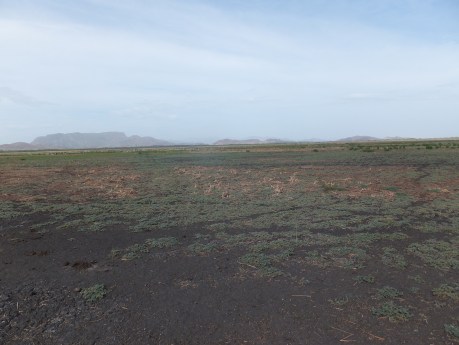 PV15 05-27-15 (14836)