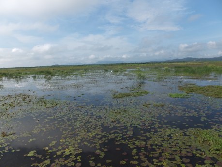 PV16 06-02-2016 (25006)