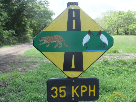 PV16 06-02-2016 (25024)