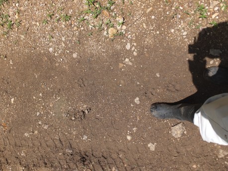 PV16 06-07-2016 (25394)