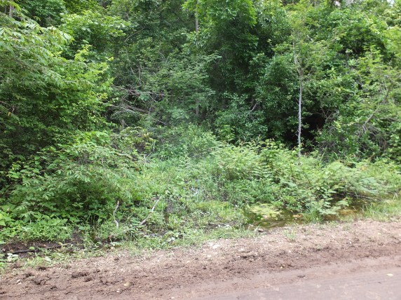 PV16 06-13-2016 (26208)