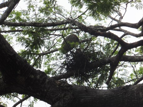 PV16 07-11-2016 (31484)