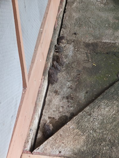 PV16 08-03-2016 (33917)