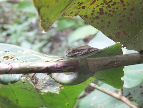 PV17 05-27-2017 (34952)