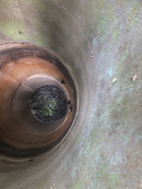 PV17 05-27-2017 (34955)