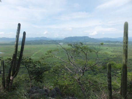 PV17 08-08-2017 (35864)