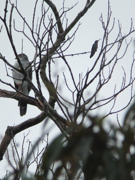 2018-06-19 Alburgue de Socorro (36430)