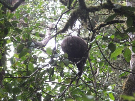 2018-06-28 2000m (36534)