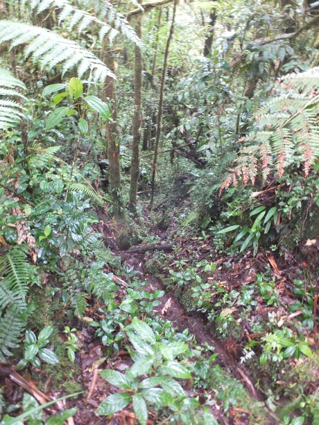 2018-06-28 2000m (36548)