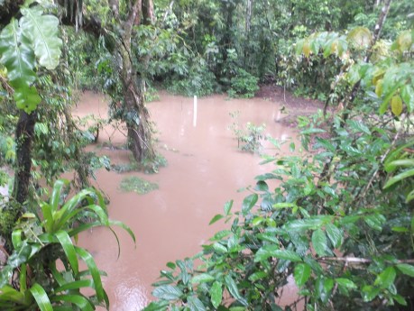 2018-07-14 (36672).JPG